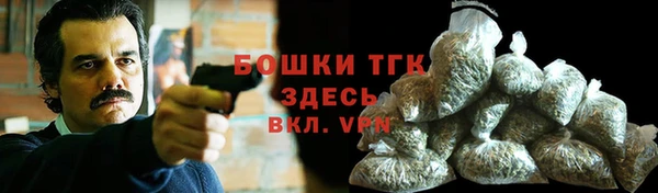 молекула духа Дубна