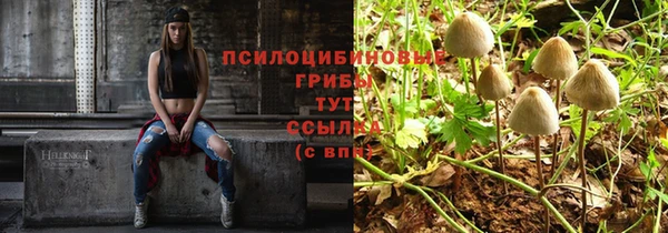 прущие крисы Дрезна