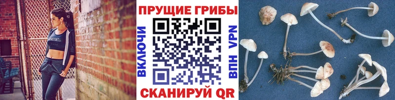 где купить наркоту  Красноармейск  Галлюциногенные грибы MAGIC MUSHROOMS 
